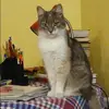 Отзыв от Ульяна Алексеева